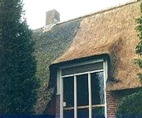 Dak bedekt met mos, na schoonmaken wordt dit dak behandeld tegen alg